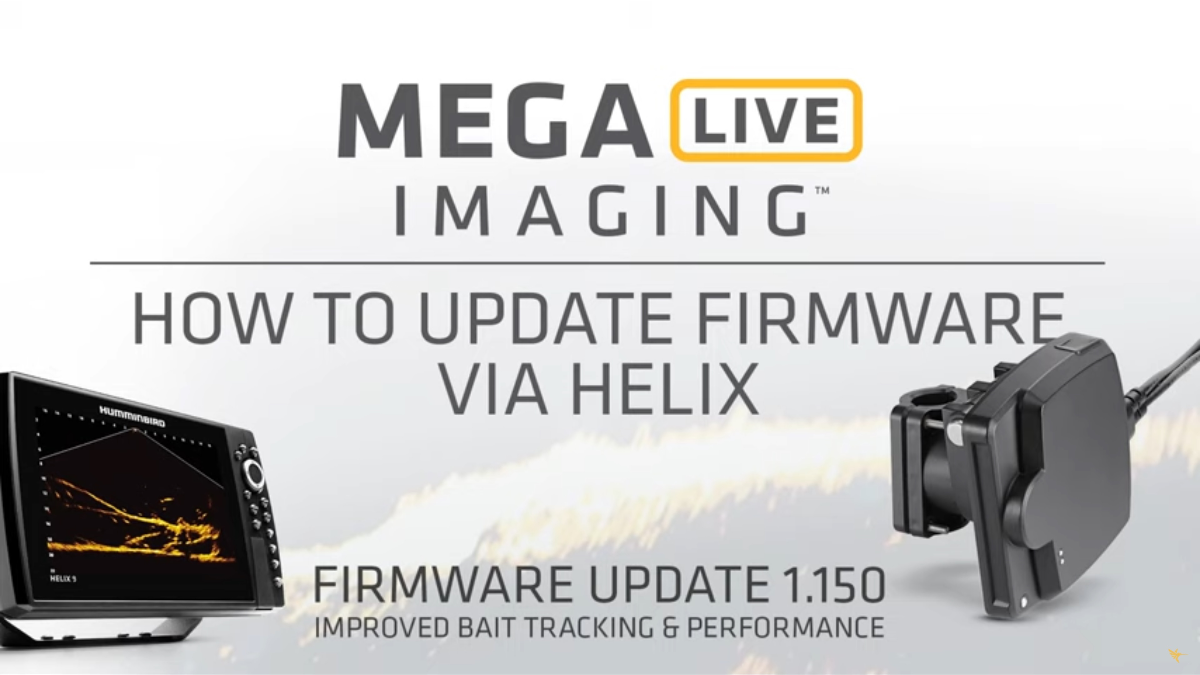 Mega_Live_Update